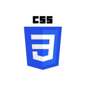 Untitled-1_0003_CSS3_logo_and_wordmark.svg